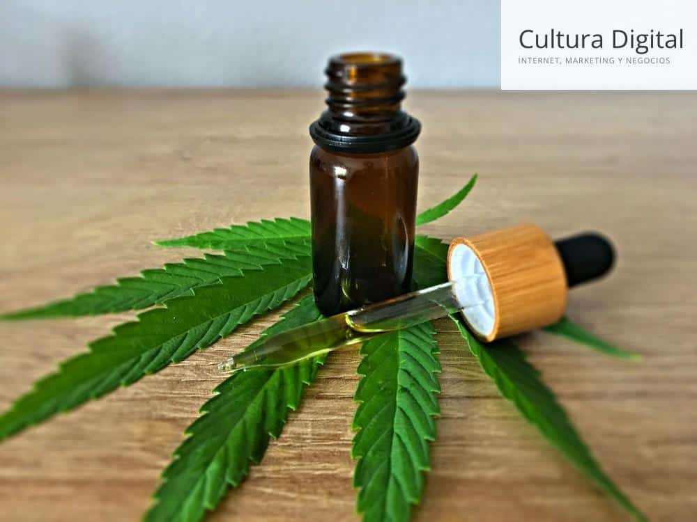 cbd oil