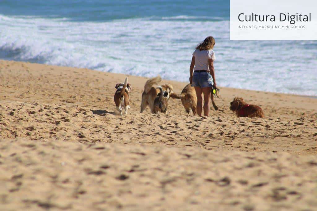 Chica cuidando perros