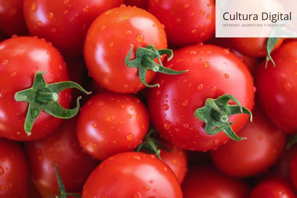 tomates en agricultura