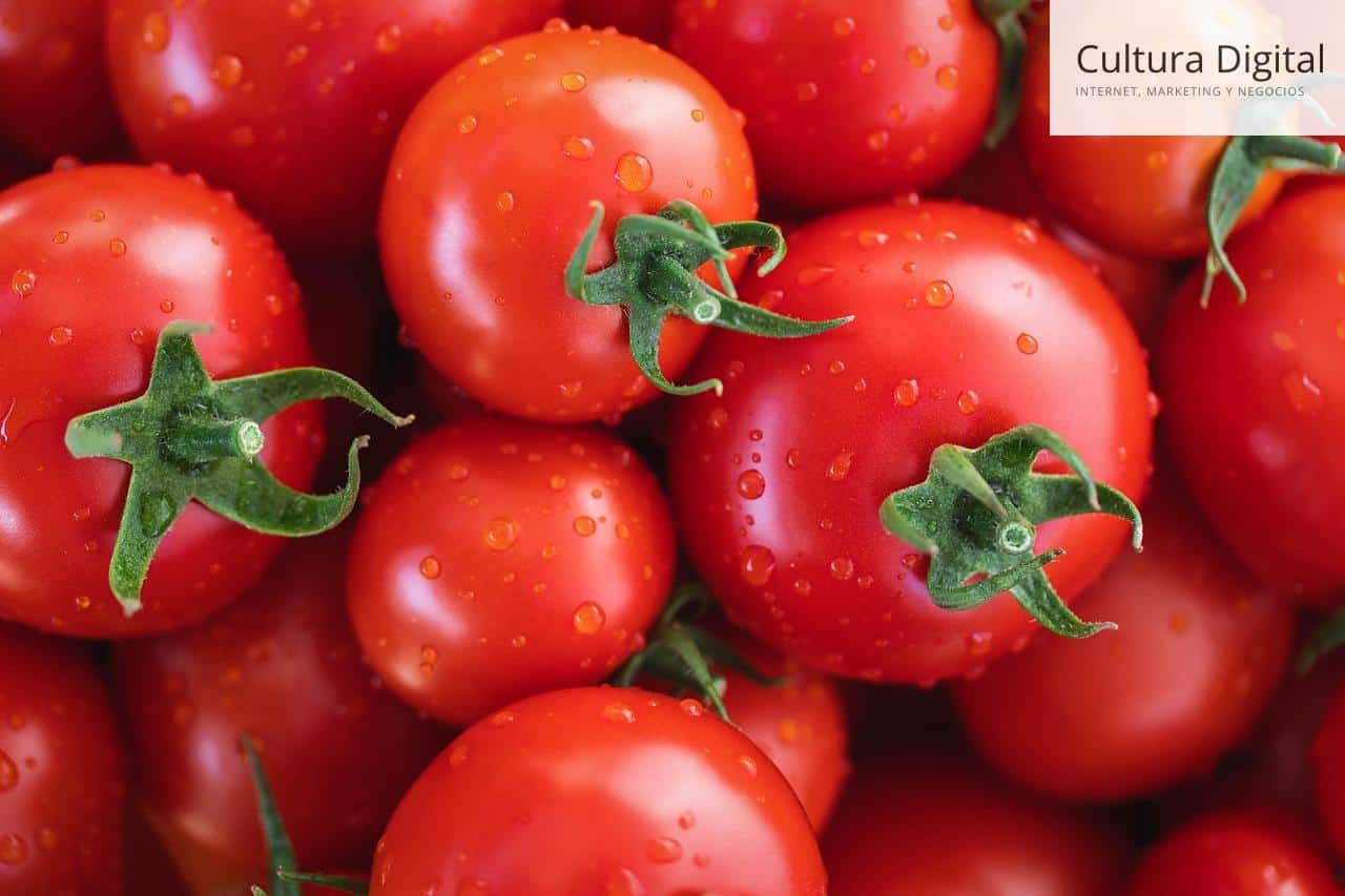 tomates en agricultura
